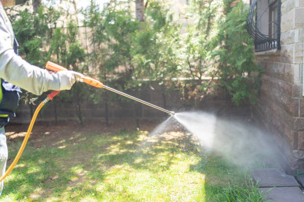 Best Pest Prevention Services  in Baldwin Park, CA